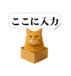 茶色の猫のメッセージ【猫ミーム】（個別スタンプ：13）