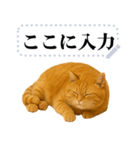 茶色の猫のメッセージ【猫ミーム】（個別スタンプ：14）