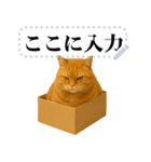 茶色の猫のメッセージ【猫ミーム】（個別スタンプ：15）