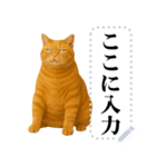 茶色の猫のメッセージ【猫ミーム】（個別スタンプ：16）