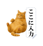 茶色の猫のメッセージ【猫ミーム】（個別スタンプ：18）