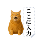 茶色の猫のメッセージ【猫ミーム】（個別スタンプ：21）