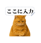 茶色の猫のメッセージ【猫ミーム】（個別スタンプ：23）