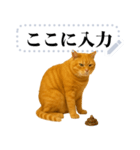 茶色の猫のメッセージ【猫ミーム】（個別スタンプ：24）