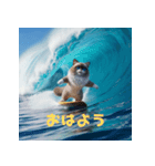 サーフィンしてるラグドール（個別スタンプ：1）
