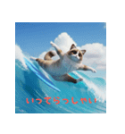 サーフィンしてるラグドール（個別スタンプ：7）