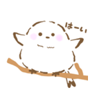 ふわふわもちもちシマエナガさん（個別スタンプ：4）