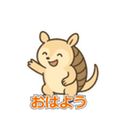 まるっとアルマジロの毎日スタンプ（個別スタンプ：1）