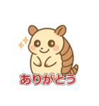 まるっとアルマジロの毎日スタンプ（個別スタンプ：3）