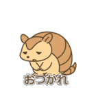 まるっとアルマジロの毎日スタンプ（個別スタンプ：5）