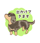 ダックス大好き！家族の連絡専用◆シルバー（個別スタンプ：11）