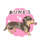 ダックス大好き！家族の連絡専用◆シルバー（個別スタンプ：17）