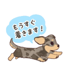 ダックス大好き！家族の連絡専用◆シルバー（個別スタンプ：23）