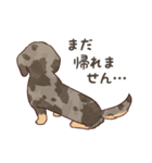 ダックス大好き！家族の連絡専用◆シルバー（個別スタンプ：27）