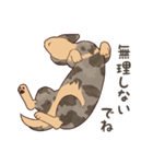 ダックス大好き！家族の連絡専用◆シルバー（個別スタンプ：30）