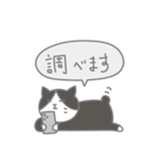のボル猫 その9 外岩（個別スタンプ：38）