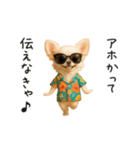 関西弁♡エッホエッホ！チワワ（個別スタンプ：23）