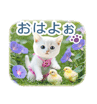 AI しろねこ OLIVIA ＠ 夏（個別スタンプ：1）