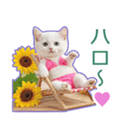 AI しろねこ OLIVIA ＠ 夏（個別スタンプ：3）