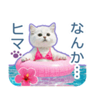 AI しろねこ OLIVIA ＠ 夏（個別スタンプ：4）