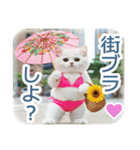AI しろねこ OLIVIA ＠ 夏（個別スタンプ：7）