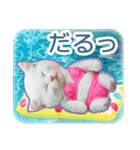 AI しろねこ OLIVIA ＠ 夏（個別スタンプ：9）