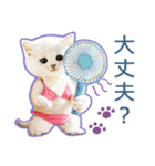 AI しろねこ OLIVIA ＠ 夏（個別スタンプ：12）