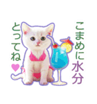 AI しろねこ OLIVIA ＠ 夏（個別スタンプ：14）