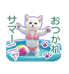 AI しろねこ OLIVIA ＠ 夏（個別スタンプ：16）
