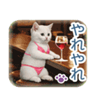AI しろねこ OLIVIA ＠ 夏（個別スタンプ：24）