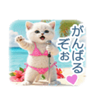 AI しろねこ OLIVIA ＠ 夏（個別スタンプ：27）