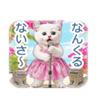 AI しろねこ OLIVIA ＠ 夏（個別スタンプ：28）
