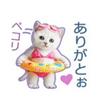 AI しろねこ OLIVIA ＠ 夏（個別スタンプ：29）
