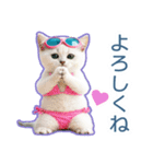 AI しろねこ OLIVIA ＠ 夏（個別スタンプ：30）
