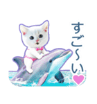 AI しろねこ OLIVIA ＠ 夏（個別スタンプ：31）