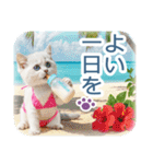 AI しろねこ OLIVIA ＠ 夏（個別スタンプ：36）