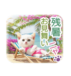 AI しろねこ OLIVIA ＠ 夏（個別スタンプ：38）