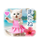 AI しろねこ OLIVIA ＠ 夏（個別スタンプ：39）