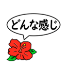 ハイビスカスの花（日常会話用）（個別スタンプ：9）
