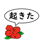 ハイビスカスの花（日常会話用）（個別スタンプ：17）