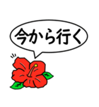 ハイビスカスの花（日常会話用）（個別スタンプ：19）