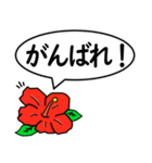 ハイビスカスの花（日常会話用）（個別スタンプ：37）