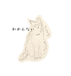 猫の額の庭ver.2（個別スタンプ：4）