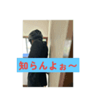 ストライク！スタンプVer.2.0（個別スタンプ：2）