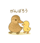 カルガモ親子 日本語（個別スタンプ：2）