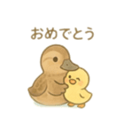 カルガモ親子 日本語（個別スタンプ：3）