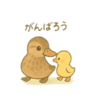 カルガモ親子 日本語（個別スタンプ：6）