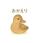 カルガモ親子 日本語（個別スタンプ：7）