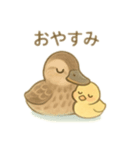 カルガモ親子 日本語（個別スタンプ：8）