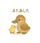 カルガモ親子 日本語（個別スタンプ：14）